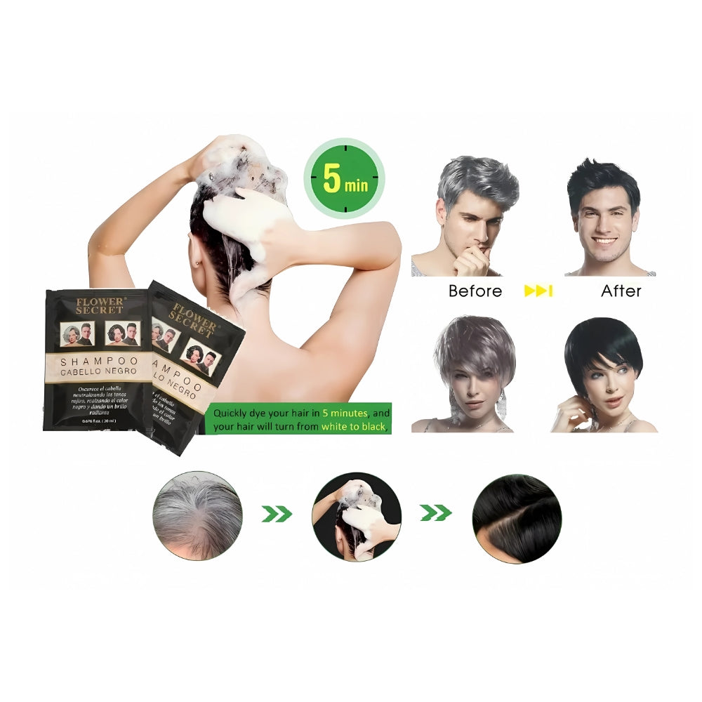 Shampoo Cabello Negro Canas Caja 12 Un